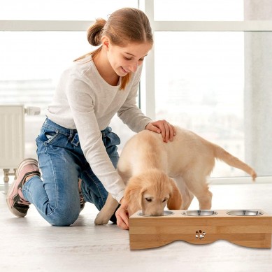 លក់ក្តៅ Pet Dog Cat Bowls Stand Height Feeding Station with stainless pet bowls