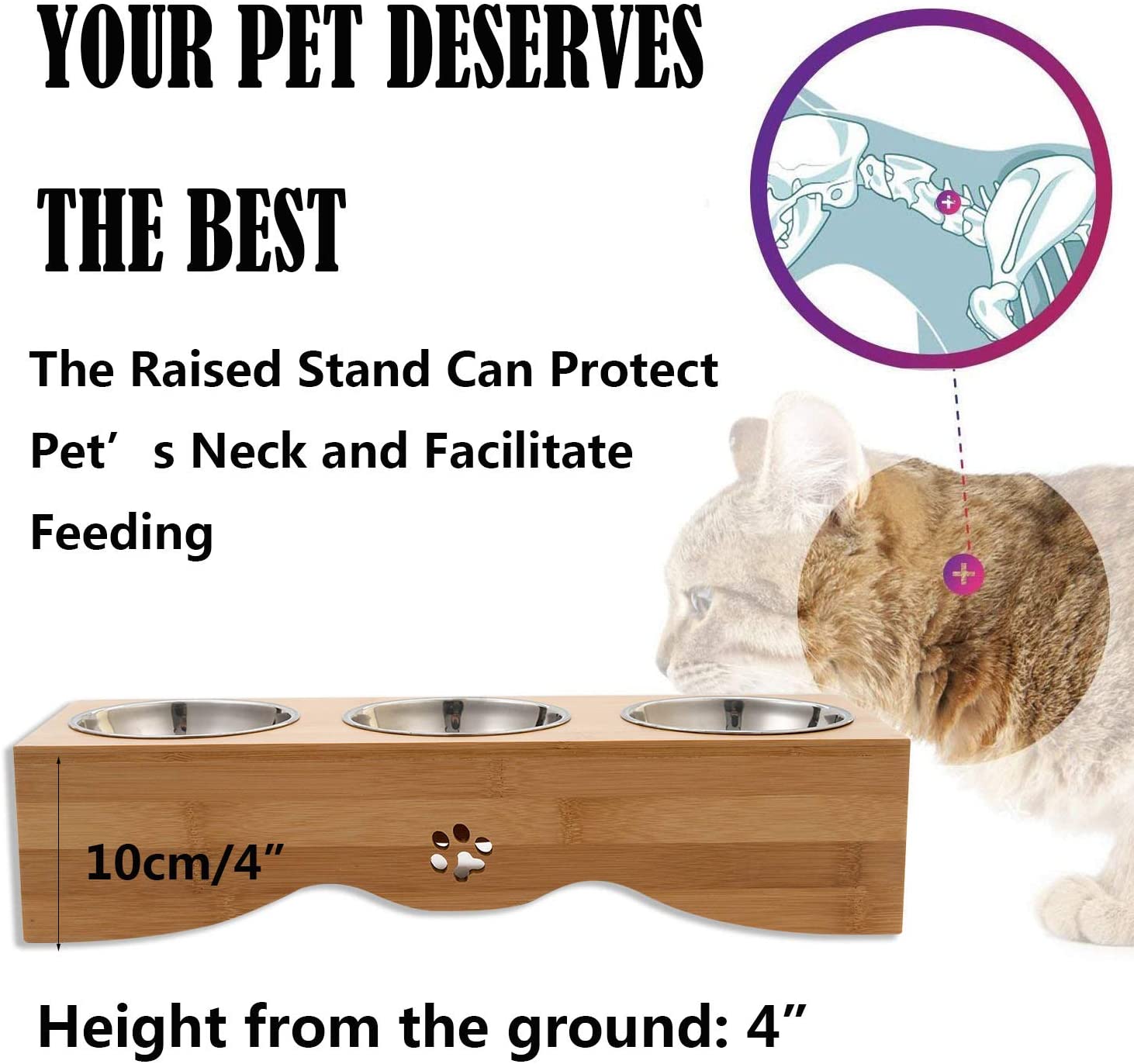 handrong Raised Cat Food Bowl Elevated Cat Bowls Cat Food and Water Bowl  Bamboo Cat Feeding Bowl Pet Food Bowl Stand 3 Stainless Steel Bowls for  Cats