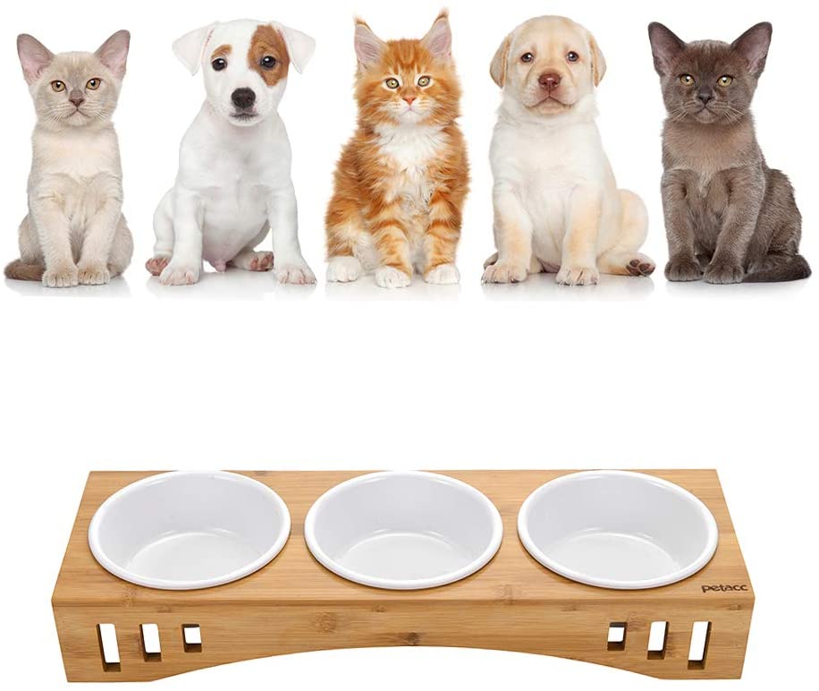 Newly ArrivalWood Box Gift Set - Perfect pet gift Pet Bowls bamboo Stand Feeder with 3 Melamine Bowls  – Shunstone