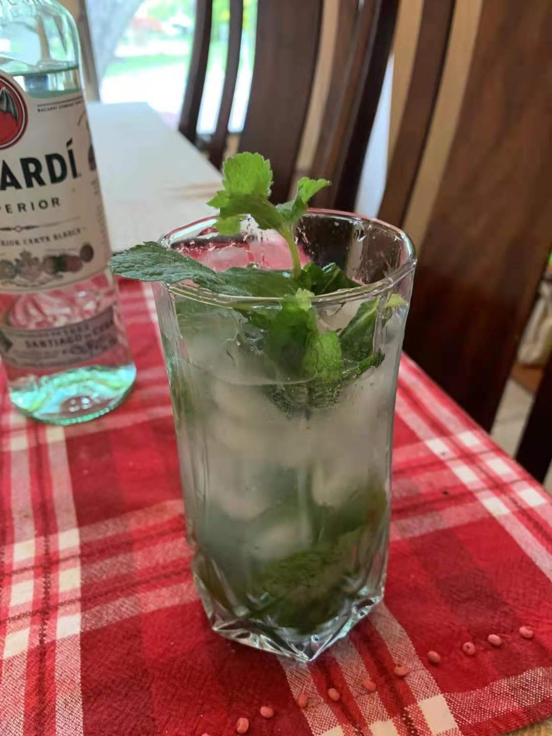 MOJITO, the most cool drinking in summer